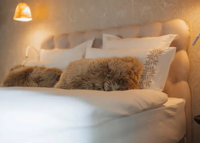 La Tzoumaz Lodge Chalet